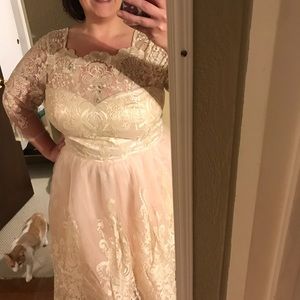 Chi-Chi London Tea Length Blush/Ivory Lace dress